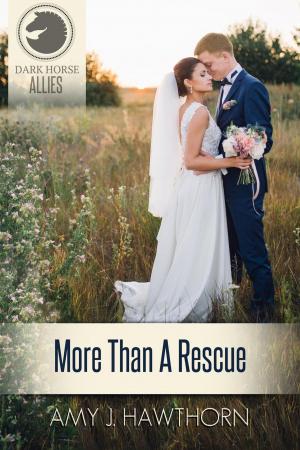 Book cover of More Than a Rescue