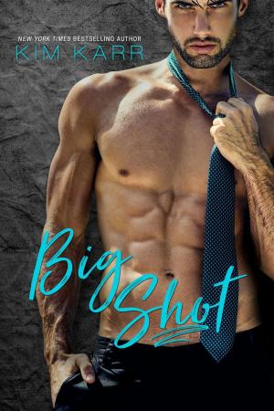 Cover of the book Big Shot by Melissa McClone