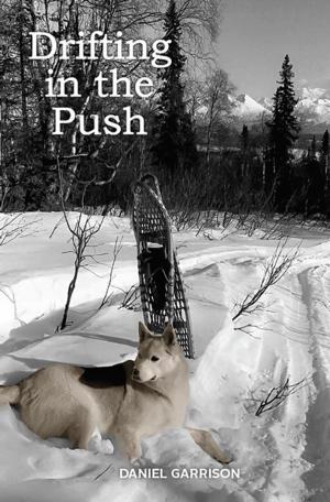 Cover of the book Drifting in the Push by Chantal Simons