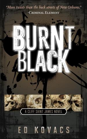 Cover of the book Burnt Black by shmel carter