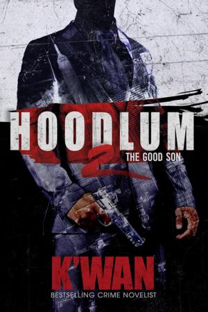Book cover of Hoodlum 2