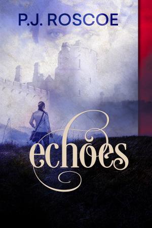 Cover of the book Echoes by Barnacle Bill Bedlam