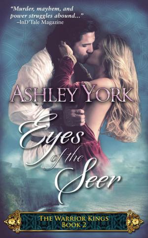 bigCover of the book Eyes of the Seer by 