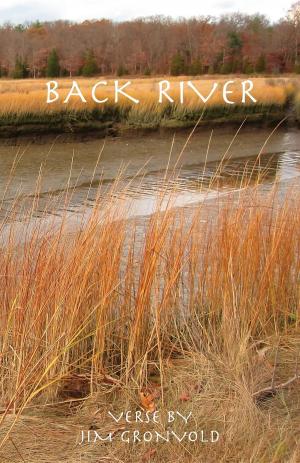 Cover of the book Back River by Roger Laird