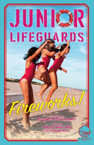 Cover of the book Fireworks! by David Taylor 2
