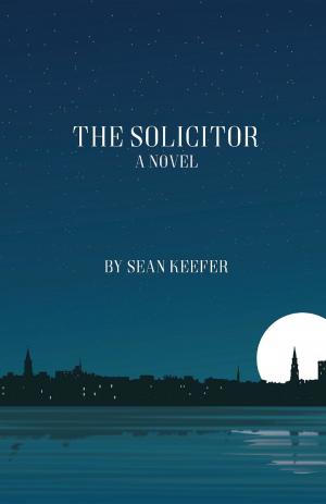 Cover of the book The Solicitor by Debra Salonen