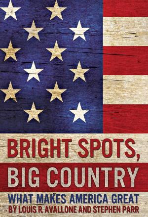 Cover of the book Bright Spots, Big Country by Leon A Weinstein