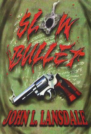Book cover of Slow Bullet