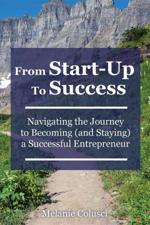 Cover of the book From Start-Up to Success by Emmanuel Imevbore
