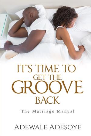 bigCover of the book IT'S TIME TO GET THE GROOVE BACK by 