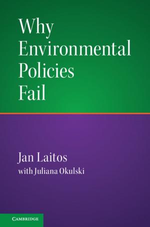 Cover of the book Why Environmental Policies Fail by Carsten Q. Schneider, Claudius Wagemann