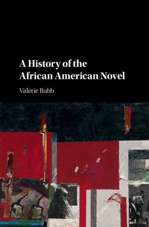 Cover of the book A History of the African American Novel by Hans Christian Öttinger