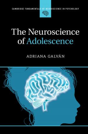 Cover of the book The Neuroscience of Adolescence by Jim Davis