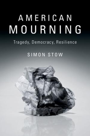 Cover of the book American Mourning by Jonathan A. Dantzig, Charles L. Tucker III