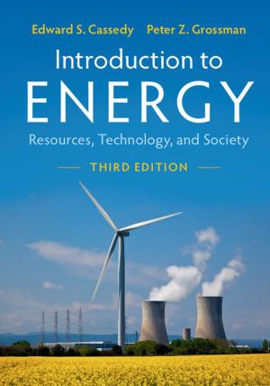 Cover of the book Introduction to Energy by Valeska Huber