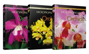 Cover of the book Micropropagation of Orchids, 3 Volume Set by Frances Cowell, Matthew Levins