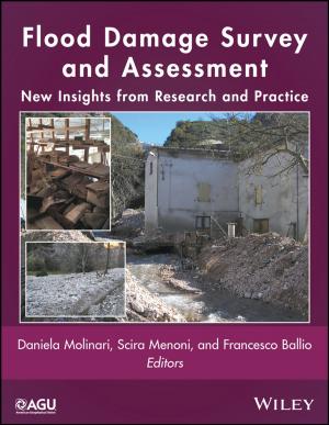Cover of the book Flood Damage Survey and Assessment by Mark E. Orazem, Bernard Tribollet