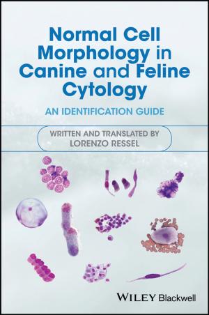Cover of the book Normal Cell Morphology in Canine and Feline Cytology by Damiano Brigo, Andrea Pallavicini, Roberto Torresetti