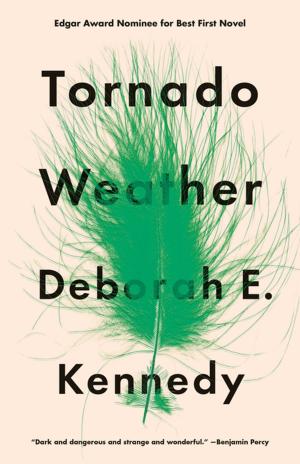 Book cover of Tornado Weather