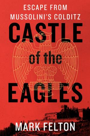 Cover of the book Castle of the Eagles by Howard Andrew Jones