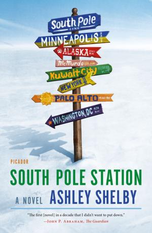 Cover of the book South Pole Station by Siri Hustvedt