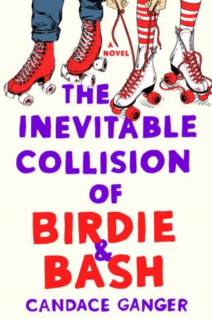 Cover of the book The Inevitable Collision of Birdie & Bash by Robert Gish, Kalia Doner, Misha Ruth Cohen, O.M.D., L. Ac.