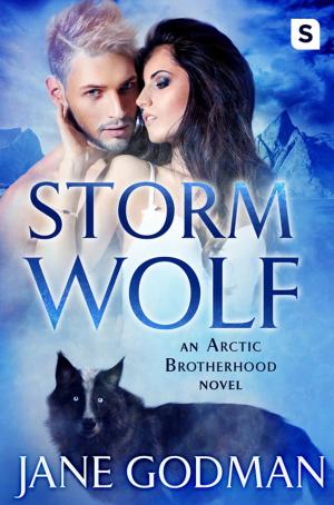 Cover of the book Storm Wolf by Alyson Noël