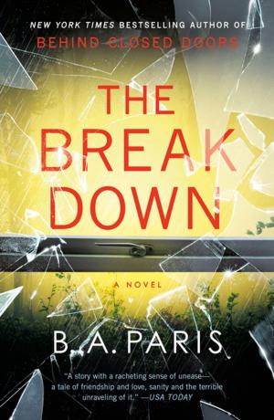 Book cover of The Breakdown