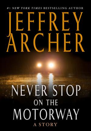Cover of the book Never Stop on the Motorway by Jay Kristoff
