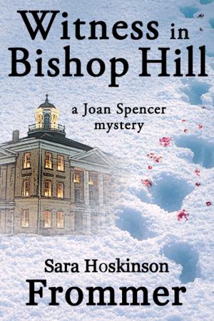 Cover of the book Witness in Bishop Hill by Sara Hoskinson Frommer
