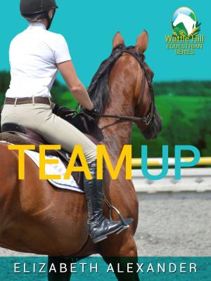 Book cover of Team Up