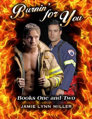 Cover of the book Burnin' for You by JJ. Nortyperson