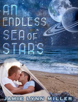 Cover of the book An Endless Sea of Stars by Kyle Richtig