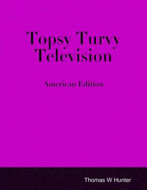 Cover of the book Topsy Turvy Television - American Edition by Nick Armbrister