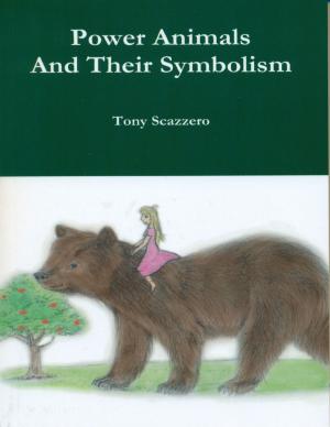 Cover of the book Power Animals and Their Symbolism by Scott C. Anderson