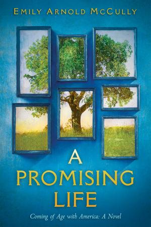 Cover of the book A Promising Life: Coming of Age with America by Michael D'Agostino, Danny D'Agostino