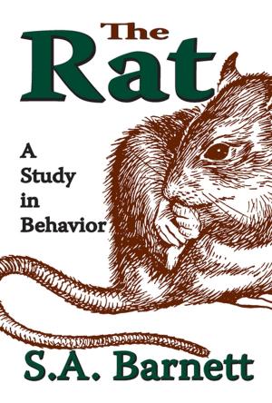 Cover of the book The Rat by Robin and the Honey Badger