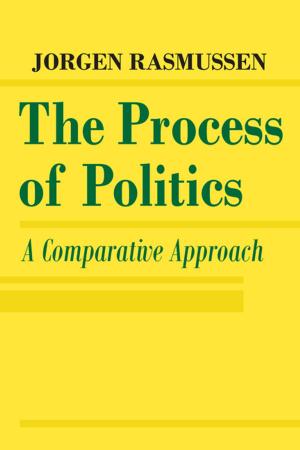 Cover of the book The Process of Politics by Tiina Sotkasiira