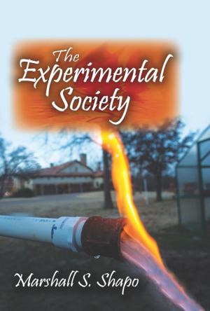 Cover of the book The Experimental Society by 