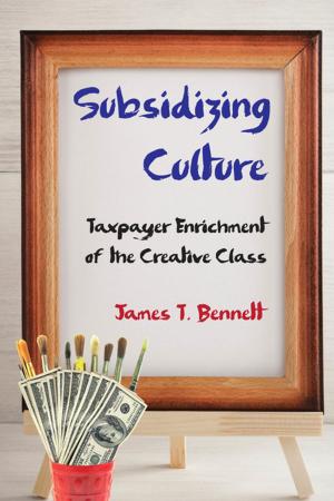 Book cover of Subsidizing Culture