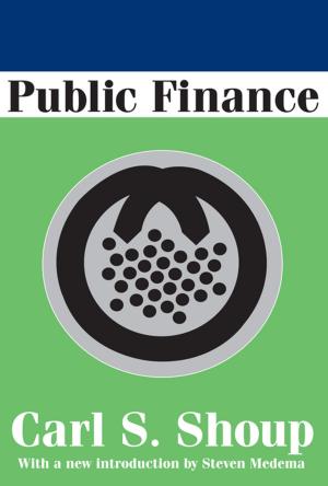 Cover of the book Public Finance by Hendrik Van den Berg