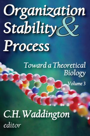 Cover of the book Organization Stability and Process by Karel Werner