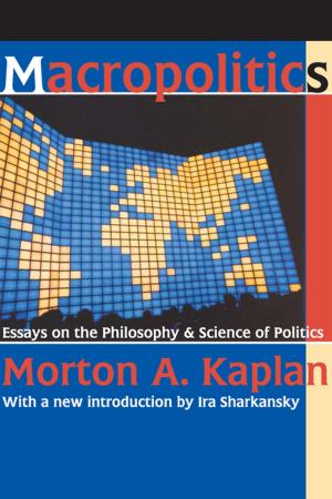 Cover of the book Macropolitics by Tony Hilfer