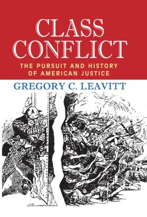 Cover of the book Class Conflict by David J. Pauleen