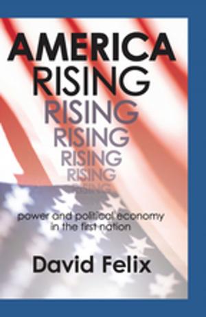 Cover of the book America Rising by Peter Mitchell, Fenja Ziegler