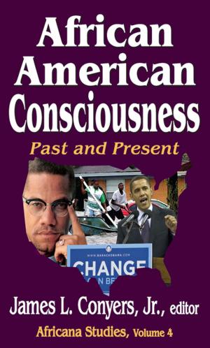 Cover of the book African American Consciousness by Gerdi Quist, Christine Sas, Dennis Strik
