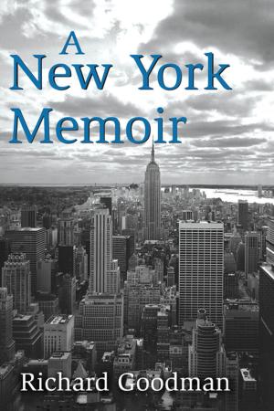 Cover of the book A New York Memoir by J.W. Meilstrup