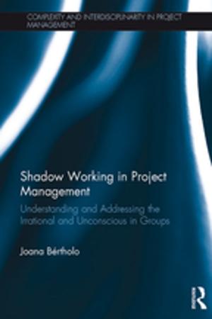 Cover of the book Shadow Working in Project Management by Karin Jironet