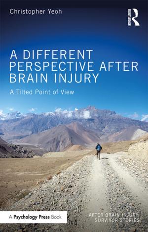 Cover of the book A Different Perspective After Brain Injury by David A. Crighton, Graham J. Towl
