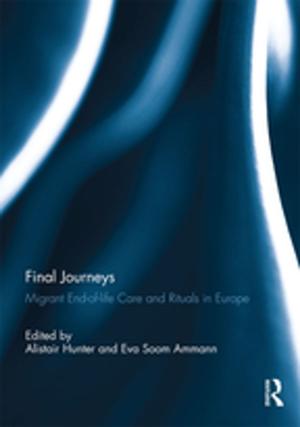 Cover of the book Final Journeys by Elliott Antokoletz